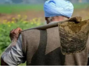 हरियाणा सरकार ने किसानों से फसल नुकसान के दावे ऑनलाइन पोर्टल पर अपलोड करने का दिया निर्देश