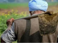 हरियाणा सरकार ने किसानों से फसल नुकसान के दावे ऑनलाइन पोर्टल पर अपलोड करने का दिया निर्देश