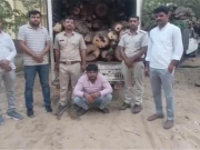 झुंझुनू में खेजड़ी लकड़ी की तस्करी का नया तरीका, डाक पार्सल वाहनों से कर रहे थे सप्लाई