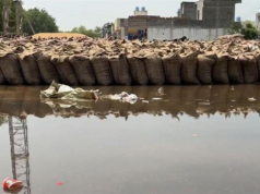 चरखी दादरी: तेज आंधी और बारिश से मंडी में हजारों क्विंटल गेहूं-सरसों भीगी, फसल खराब होने का खतरा