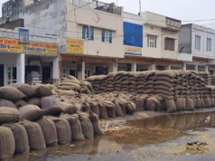 कैथल मंडी में बारिश से लाखों गेहूं की बोरियां भीगीं, उठान में देरी से बढ़ा नुकसान