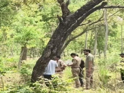 यमुनानगर में खैर तस्करों ने वन विभाग के कर्मचारियों पर की फायरिंग, पुलिस पर कार्रवाई के लिए दबाव