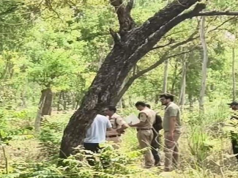 यमुनानगर में खैर तस्करों ने वन विभाग के कर्मचारियों पर की फायरिंग, पुलिस पर कार्रवाई के लिए दबाव
