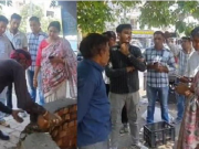 यमुनानगर में घटिया निर्माण सामग्री पर मेयर सख्त, जांच रिपोर्ट आने तक काम पर रोक