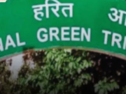 हरियाणा में इको ग्रीन प्रोजेक्ट फेल, कचरे से बिजली बनाने का सपना टूटा