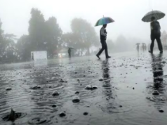 हरियाणा में दस्तक दे चुका मानसून, सभी जिलों में बारिश की संभावना, यमुनानगर में बने बाढ़ जैसे हालात