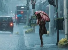 हरियाणा में मूसलधार का कहर, इन जिलों पर टूटा अलर्ट