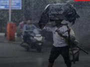 हरियाणा में बारिश का अलर्ट, इन जिलों में होगी गरज-चमक के साथ बरसात