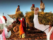 फसल नुकसान की भरपाई: किसानों के लिए ई-क्षतिपूर्ति पोर्टल 10 सितंबर तक खुला