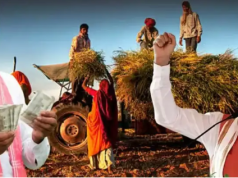 फसल नुकसान की भरपाई: किसानों के लिए ई-क्षतिपूर्ति पोर्टल 10 सितंबर तक खुला