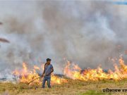पराली जलाने पर हरियाणा में सख्ती, तीन डीसी को नोटिस , दो अधिकारी सस्पेंड