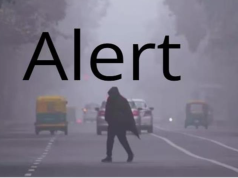 हरियाणा में घना कोहरा अलर्ट, पारा गिरा: कई जिले सबसे ठंडे