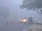 घने कोहरे से ढका हरियाणा, IMD ने जारी किया अलर्ट