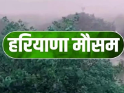 हरियाणा में कोहरे और बारिश की चेतावनी, हिसार में रेल यातायात प्रभावित