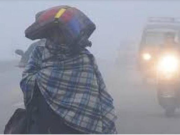 हरियाणा में मौसम ने बदली करवट, सीजन का पहला कोहरा; 8 जिलों में अलर्ट जारी