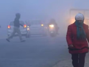 हरियाणा में कोहरे और ठंड का डबल प्रकोप, रात्रि पारा गिरकर 2.1°C पर