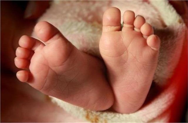 2025_12image_18_52_155195707newbornbaby-ll