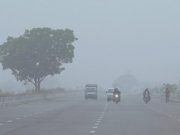हरियाणा में कड़ाके की ठंड का कहर, तापमान 20 डिग्री से नीचे, कोहरे का अलर्ट
