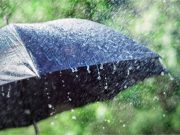 हरियाणा में 16 फरवरी से फिर बदलेगा मौसम, बारिश के आसार