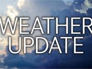 हरियाणा में बदला मौसम, सर्दी हुई कम: गेहूं की फसल पर दिख सकता असर