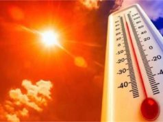 हरियाणा में बढ़ी गर्मी : कई शहरों में तापमान 35°C पार, हिसार सबसे गर्म