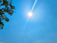 114 वर्षों में हरियाणा का तापमान 1.5°C बढ़ा, पंचकूला-यमुनानगर सबसे ज्यादा प्रभावित