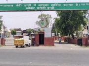 ई-खरीद पोर्टल पर गेहूं घोटाला: यूपी का अनाज हरियाणा किसानों के नाम पर बेचा, 5 फर्मों पर केस