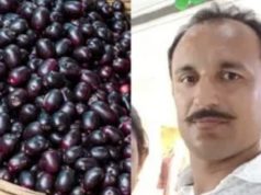 बच्चों के लिए जामुन तोड़ने पेड़ पर चढ़े सीआरपीएफ सब-इंस्पेक्टर की गिरने से मौत, गांव में शोक