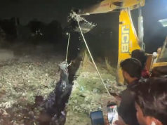 बल्लभगढ़ में नाले में गिरा नंदी, दो घंटे के रेस्क्यू के बाद बचाई गई जान