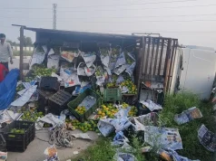 डंपर को रास्ता देते पलटी पिकअप, बाल-बाल बचे दो लोग