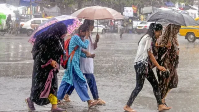 rain-(17)-1784477529508
