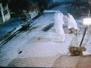 रोहतक में पुत्रवधू के हमले से बुजुर्ग घायल, पुलिस ने दर्ज की एफआईआर
