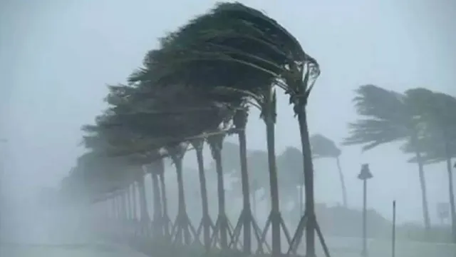 RAIN-(4)-1787160006962_v