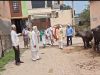प्रहलादपुर में जल पर्व का आयोजन, पेयजल व्यवस्था को लेकर पंचायत ने किया एमओयू