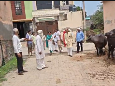 प्रहलादपुर में जल पर्व का आयोजन, पेयजल व्यवस्था को लेकर पंचायत ने किया एमओयू