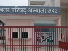 अंबाला में आवारा कुत्तों और बेसहारा पशुओं का बढ़ा आतंक, छात्रा घायल