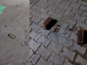 नारनौल में युवक पर फायरिंग: पेट में लगी गोली, गंभीर हालत में जयपुर रेफर