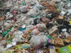 हरियाणा में नगर निकाय कर्मचारियों की हड़ताल से सफाई व्यवस्था ठप, 3 हजार टन कूड़ा जमा