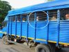 रोहतक: विष्णु हत्याकांड में फोरेंसिक रिपोर्ट और घायल गवाहों की गवाही बनी अहम कड़ी