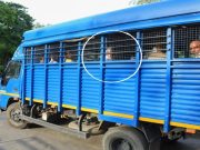 रोहतक: विष्णु हत्याकांड में फोरेंसिक रिपोर्ट और घायल गवाहों की गवाही बनी अहम कड़ी
