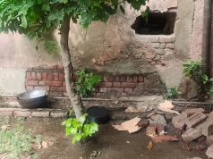 बहादुरगढ़ में चोरों का आतंक, एक ही रात में कई दुकानों को बनाया निशाना