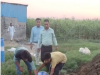 पलवल में डेयरी पर CM फ्लाइंग की रेड, 500 किलो पनीर और 100 किलो दूध नष्ट