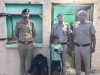 हांसी में तीन बच्चों की मां की हत्या: लिव-इन पार्टनर गिरफ्तार, बेटी घायल, बेटा बरामद