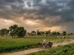 हरियाणा से मानसून की विदाई, 25 और 27-28 सितंबर को बारिश के आसार