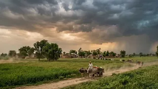 हरियाणा से मानसून की विदाई, 25 और 27-28 सितंबर को बारिश के आसार