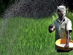 किसानों के पंजीकरण में लापरवाही पर पटवारी प्रिंस निलंबित
