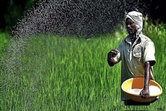 किसानों के पंजीकरण में लापरवाही पर पटवारी प्रिंस निलंबित