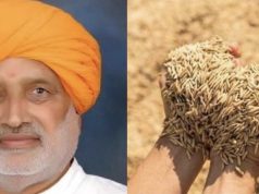 हरियाणा में धान छोड़ वैकल्पिक फसलें उगाने पर किसानों को मिलेंगे 8 हजार रुपये प्रति एकड़
