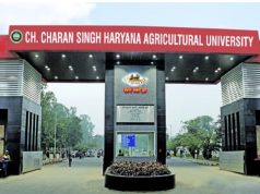 एचएयू की लेबर कॉलोनी में 20 वर्षीय युवक की ईंटों से हमला कर हत्या