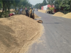 कुरुक्षेत्र की मंडियों में धान का संकट, 1.77 लाख एमटी खरीद के बाद सिर्फ 14% उठान